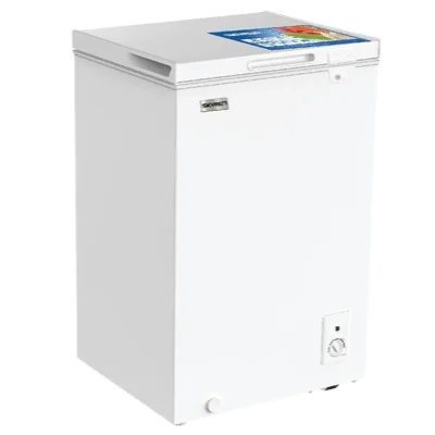Skyrun Chest Freezer 90L | BD-100MW | White