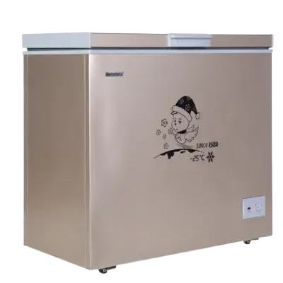 Snowsea Chest Freezer BD-370
