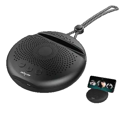ZEALOT Portable Bluetooth Speaker With FM Radio | S24-Bluetooth 5.0 , Call, TF card.Play time: 5-8hours